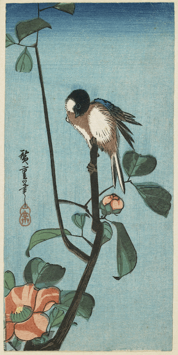 Japanese Tit on Camellia BranchOriginal | Free Photo - rawpixel