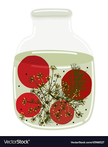 jar of pickled tomatoes with dill and peppercorns