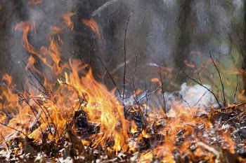 Jarman Gap Burn wildfire. Original | Free Photo - rawpixel