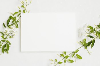 Jasminum auriculatum flower twig with wedding card on white background Free Photo
