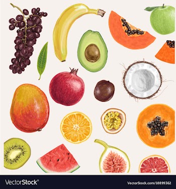  					Jaw dropping hand drawn summer fruits vector image														