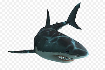 Jaws Unleashed Shark Jaws PlayStation 2 Great white shark - sharks 