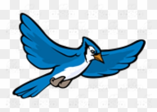 Jay Clipart Flying Blue - Blue Jay - Png Download (#1745534 ...