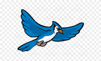 Jay Clipart Flying Blue - Blue Jay - Png Download (#1745534 ...