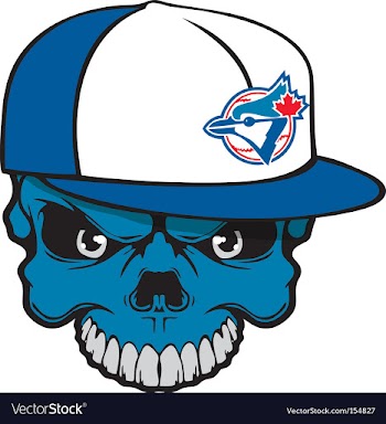 Jays skull vector image