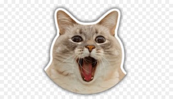 Jazz Balinese cat Burmese cat Sticker Image -  