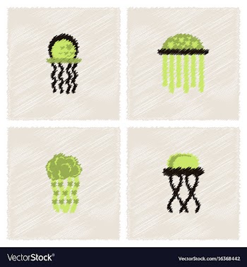 Jellyfish collection in hatching style vector image