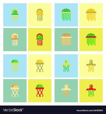 Jellyfish collection vector image