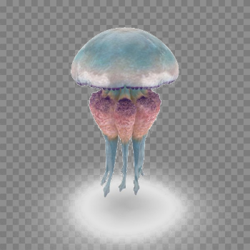 Jellyfish Free PNG Image
