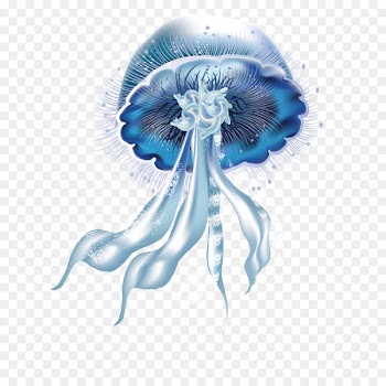 Jellyfish Icon - Blue jellyfish 