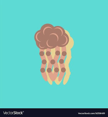 Jellyfish in sticker style vector image