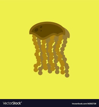 Jellyfish in sticker style vector image