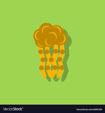 Jellyfish in sticker style vector image