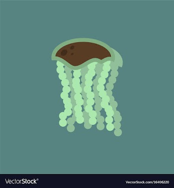 Jellyfish in sticker style vector image