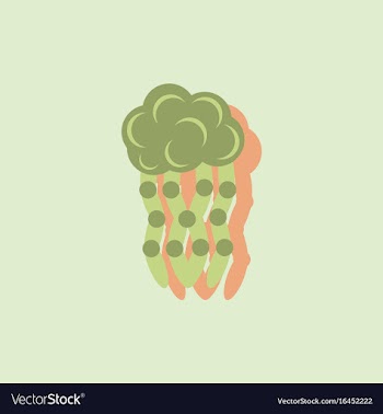Jellyfish in sticker style vector image
