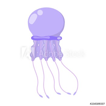 Jellyfish marine animal