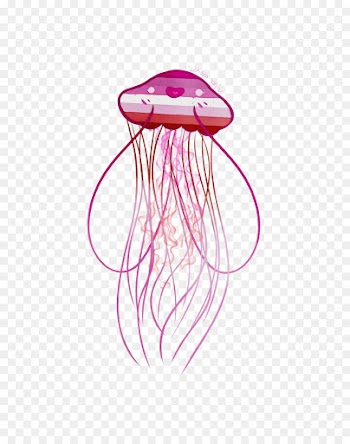 jellyfish pink cnidaria marine invertebrates magenta