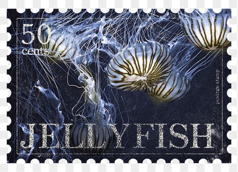 Jellyfish png post stamp sticker, | Free PNG - rawpixel