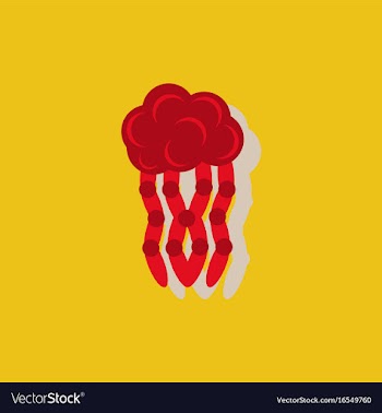 Jellyfish sticker vector image
