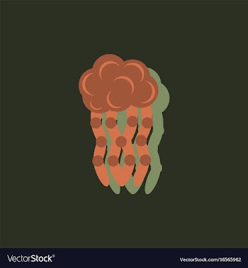 Jellyfish sticker vector image