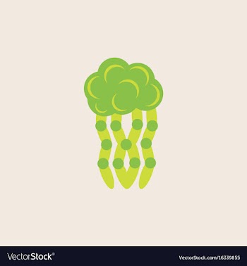 Jellyfish vector image