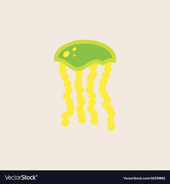 Jellyfish vector image
