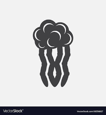 Jellyfish vector image