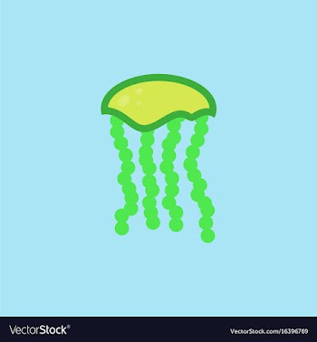 Jellyfish vector image