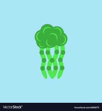 Jellyfish vector image
