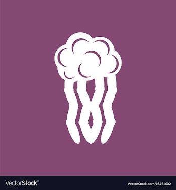 Jellyfish vector image