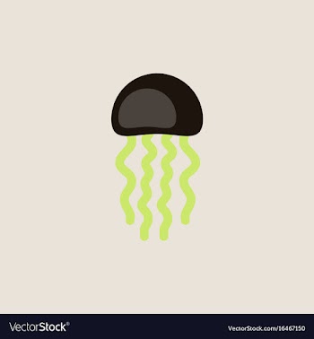 Jellyfish vector image