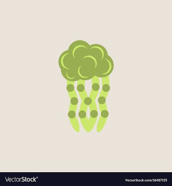 Jellyfish vector image