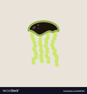 Jellyfish vector image