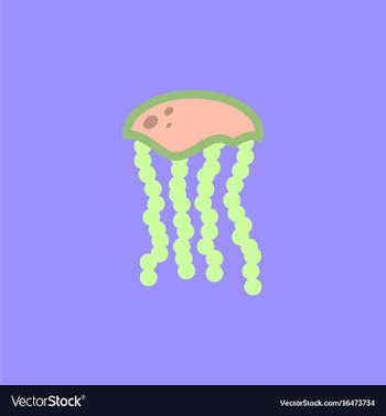 Jellyfish vector image