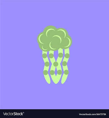Jellyfish vector image