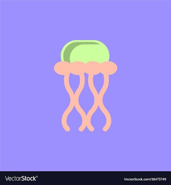 Jellyfish vector image