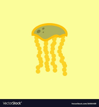 Jellyfish vector image