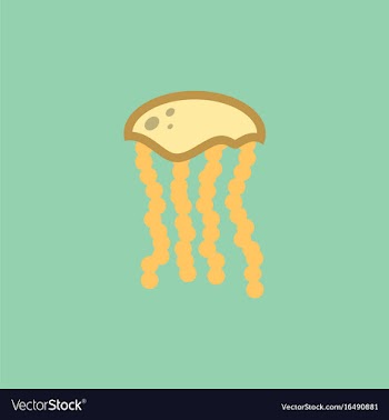 Jellyfish vector image