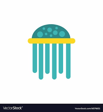 Jellyfish vector image