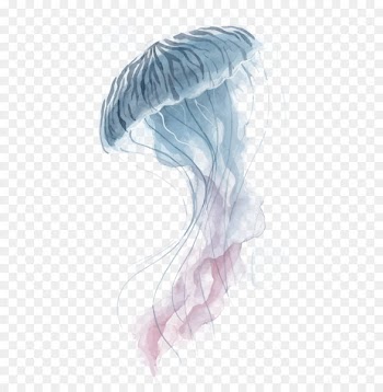 Jellyfish Watercolor painting - Vector jellyfish 