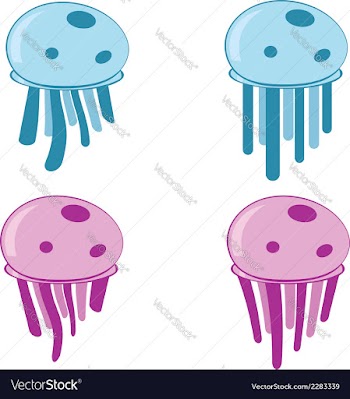Jellyfishes vector image