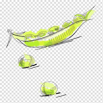 Jerky Pea Vegetable, pea transparent background PNG clipart