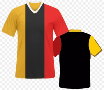 Jersey T-shirt Sportswear Sleeve - T-shirt 