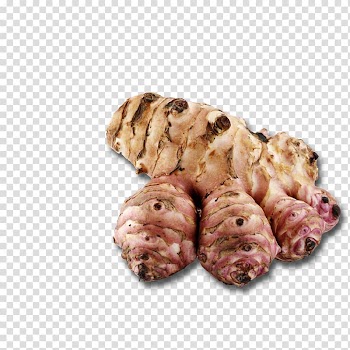 Jerusalem artichoke Autumn Potassium-53 Season Winter, autumn transparent background PNG clipart