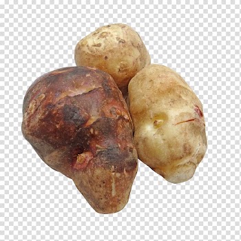 Jerusalem artichoke Common sunflower Vegetable Food, beet transparent background PNG clipart