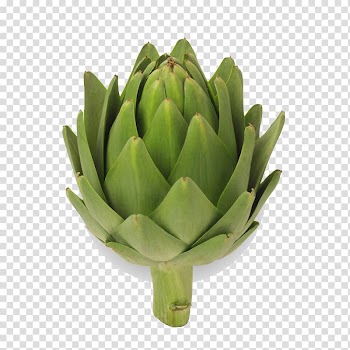 Jerusalem artichoke Vegetable Food, vegetable transparent background PNG clipart
