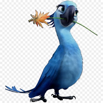 Jewel Rio Image Film Character -  