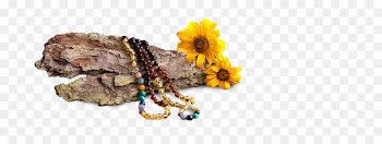 Jewellery, Com, Amber, Fashion Accessory PNG