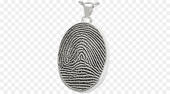 Jewellery, Earring, Charm Bracelet, Pendant PNG