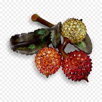 Jewellery Fruit Superfood -  